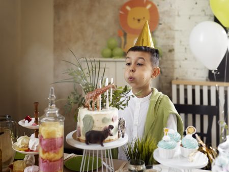 5 Year Old Birthday Gift: Creative, Thoughtful, and Fun Ideas
